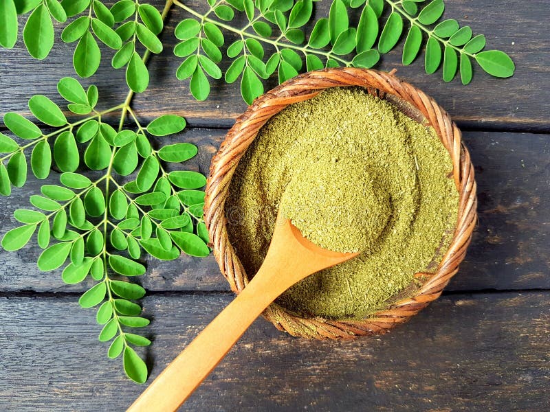 moringa-leaf-powder-fresh-leaves-77200116 moringa-leaf-powder-fresh-leaves-77200116
